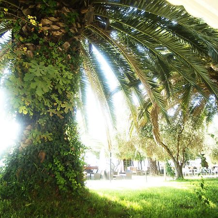 Possidona Beach Hotel Gerakini Esterno foto
